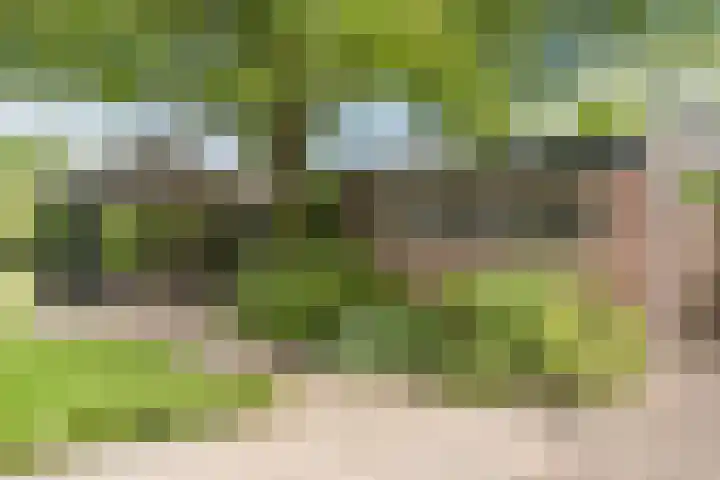 Postakkers 32 Eersel thumbnail 33