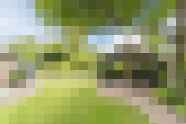 Postakkers 32 Eersel thumbnail 34