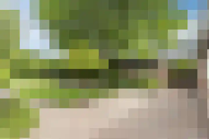 Postakkers 32 Eersel thumbnail 35