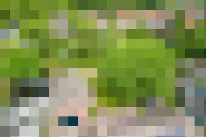 Postakkers 32 Eersel thumbnail 38