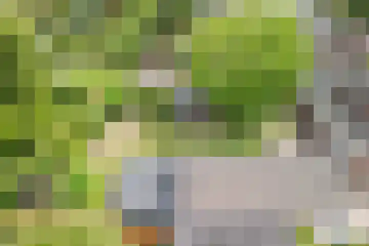 Postakkers 32 Eersel thumbnail 40