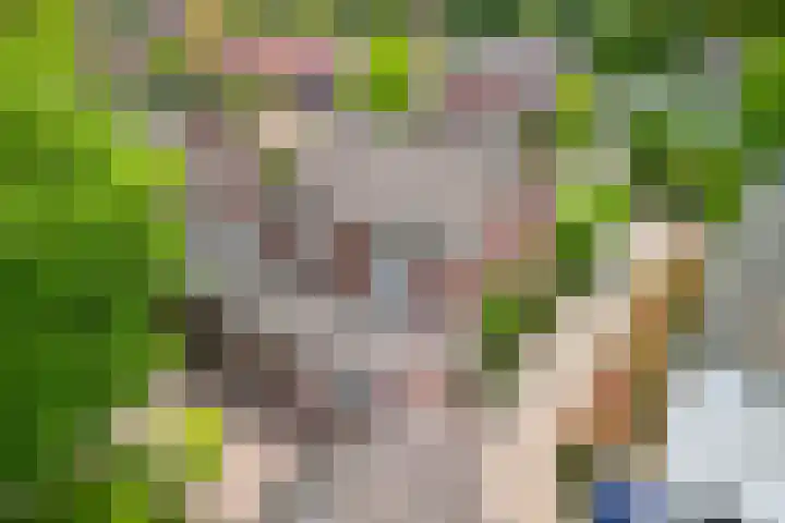 Postakkers 32 Eersel thumbnail 41