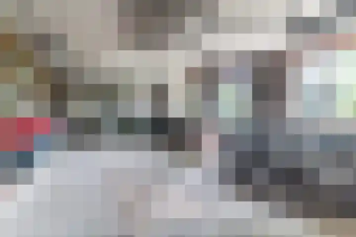 Postakkers 32 Eersel thumbnail 45