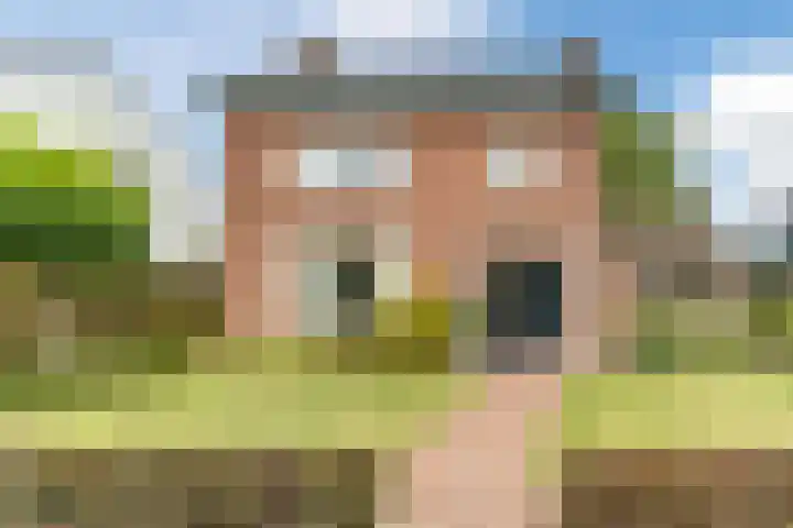 Postakkers 32 Eersel thumbnail 46