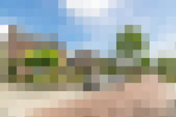 Postakkers 32 Eersel thumbnail 49