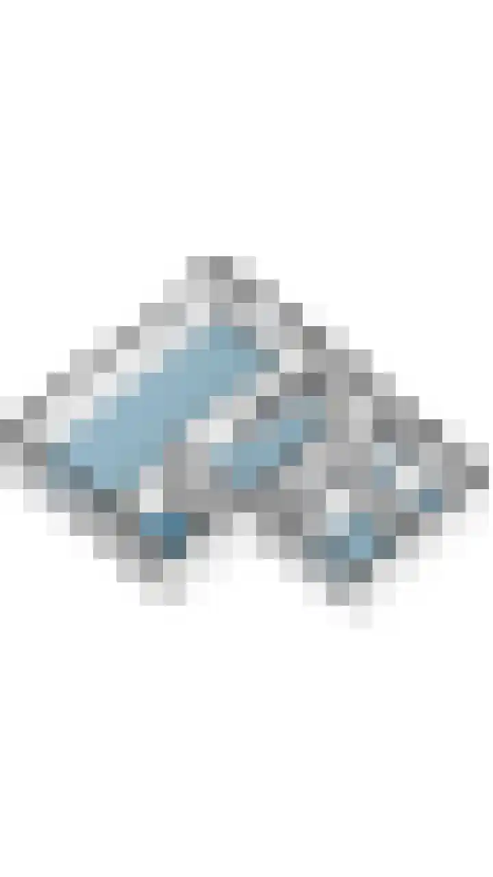 Postakkers 32 Eersel thumbnail 55