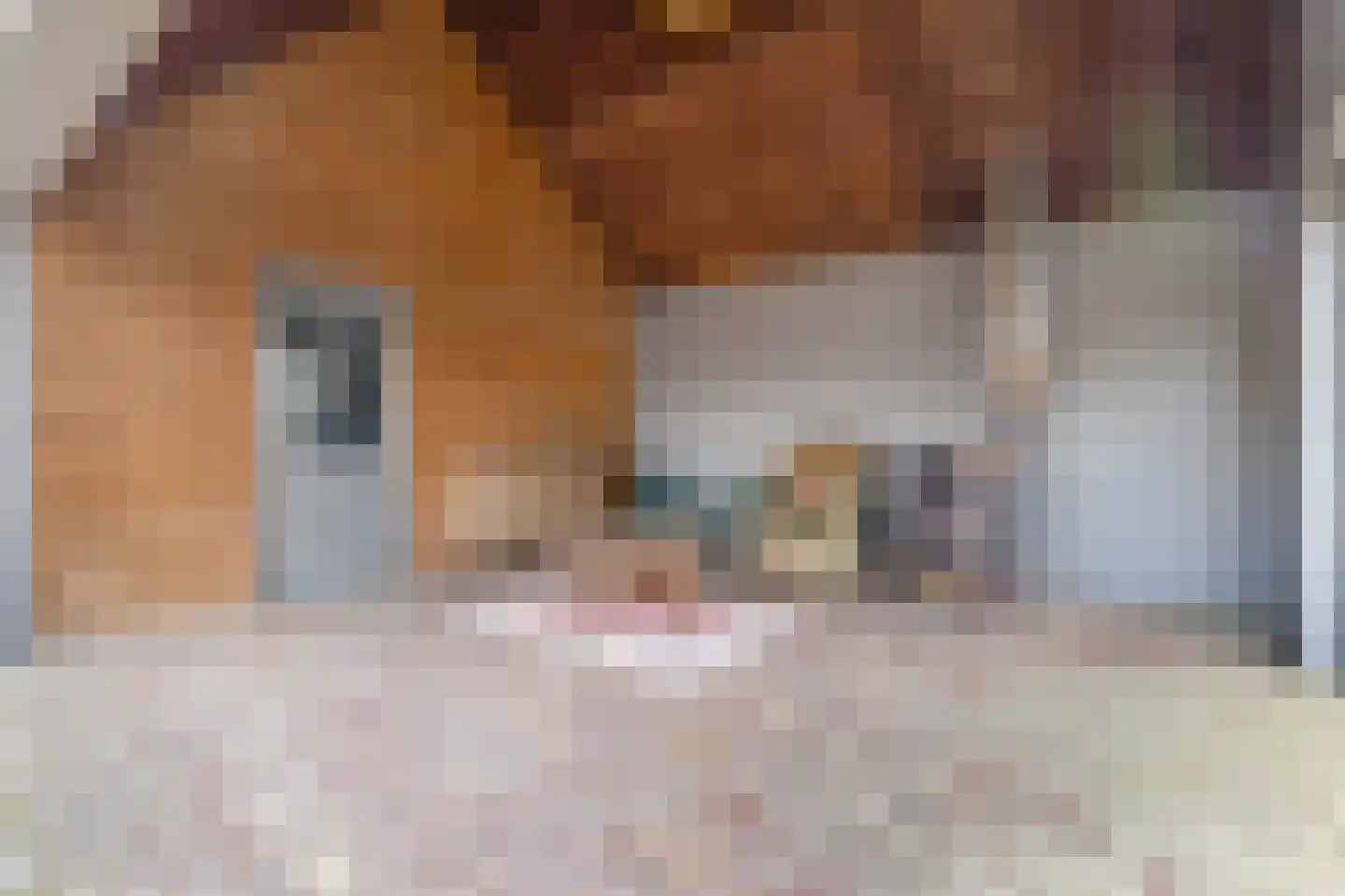 Postakkers 45 Eersel thumbnail 12