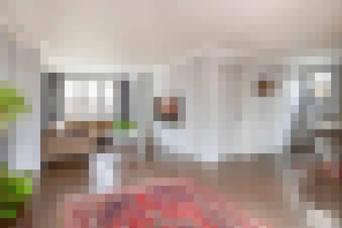 Postakkers 45 Eersel thumbnail 14