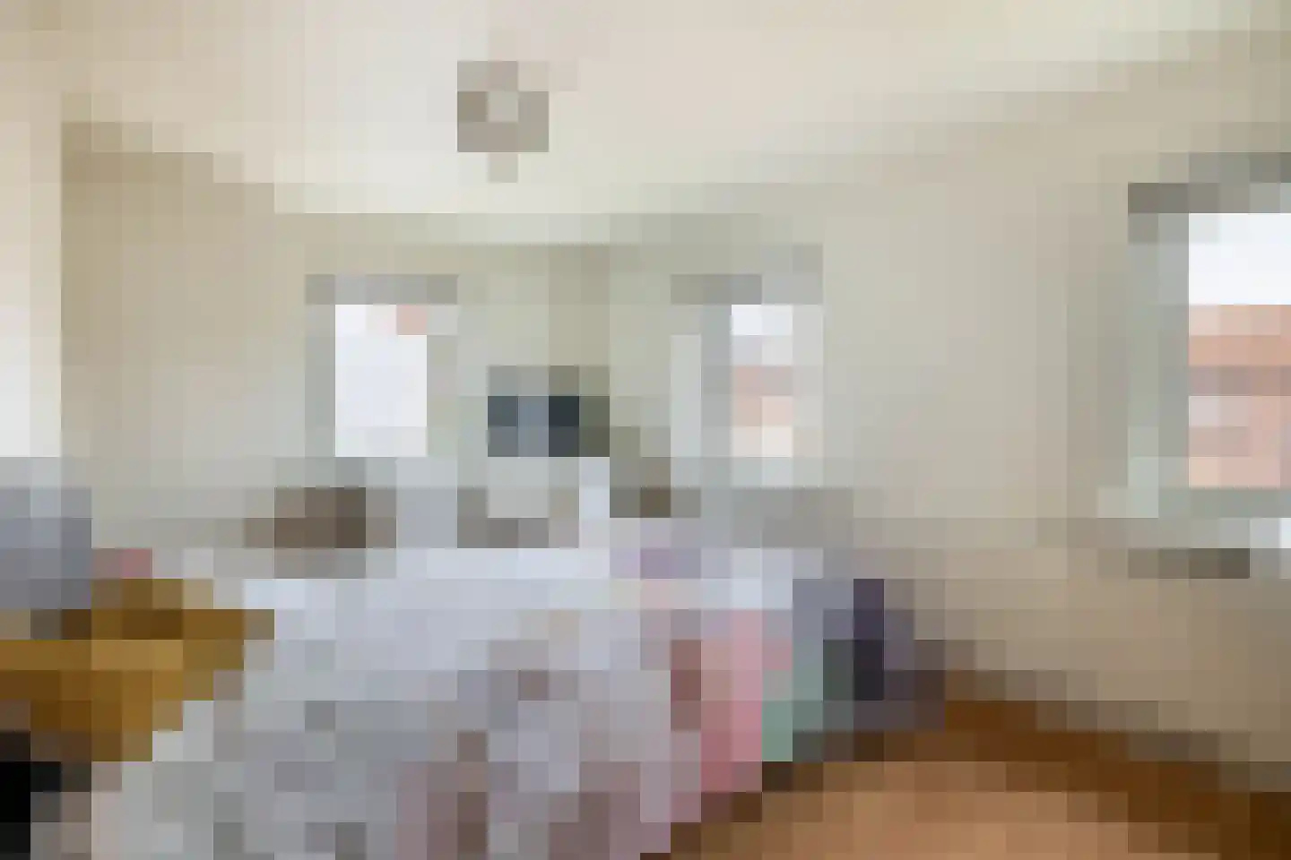 Postakkers 45 Eersel thumbnail 26