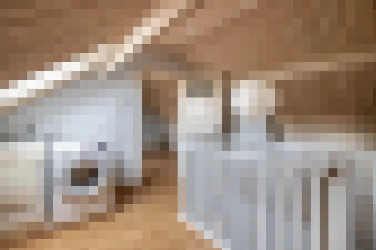 Postakkers 45 Eersel thumbnail 29