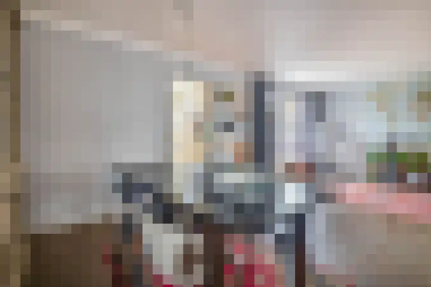 Postakkers 45 Eersel thumbnail 5