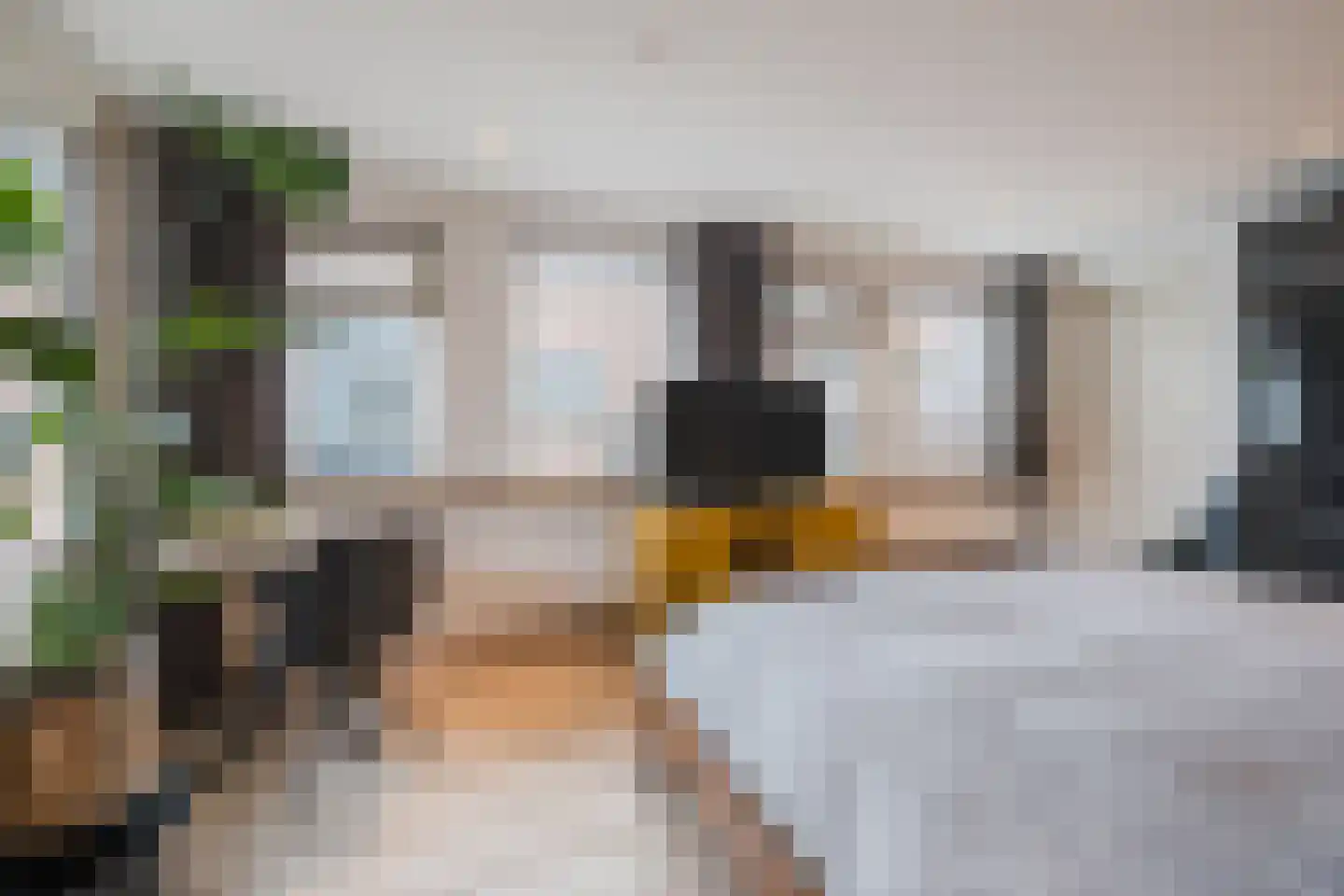 Postakkers 72 Eersel thumbnail 17