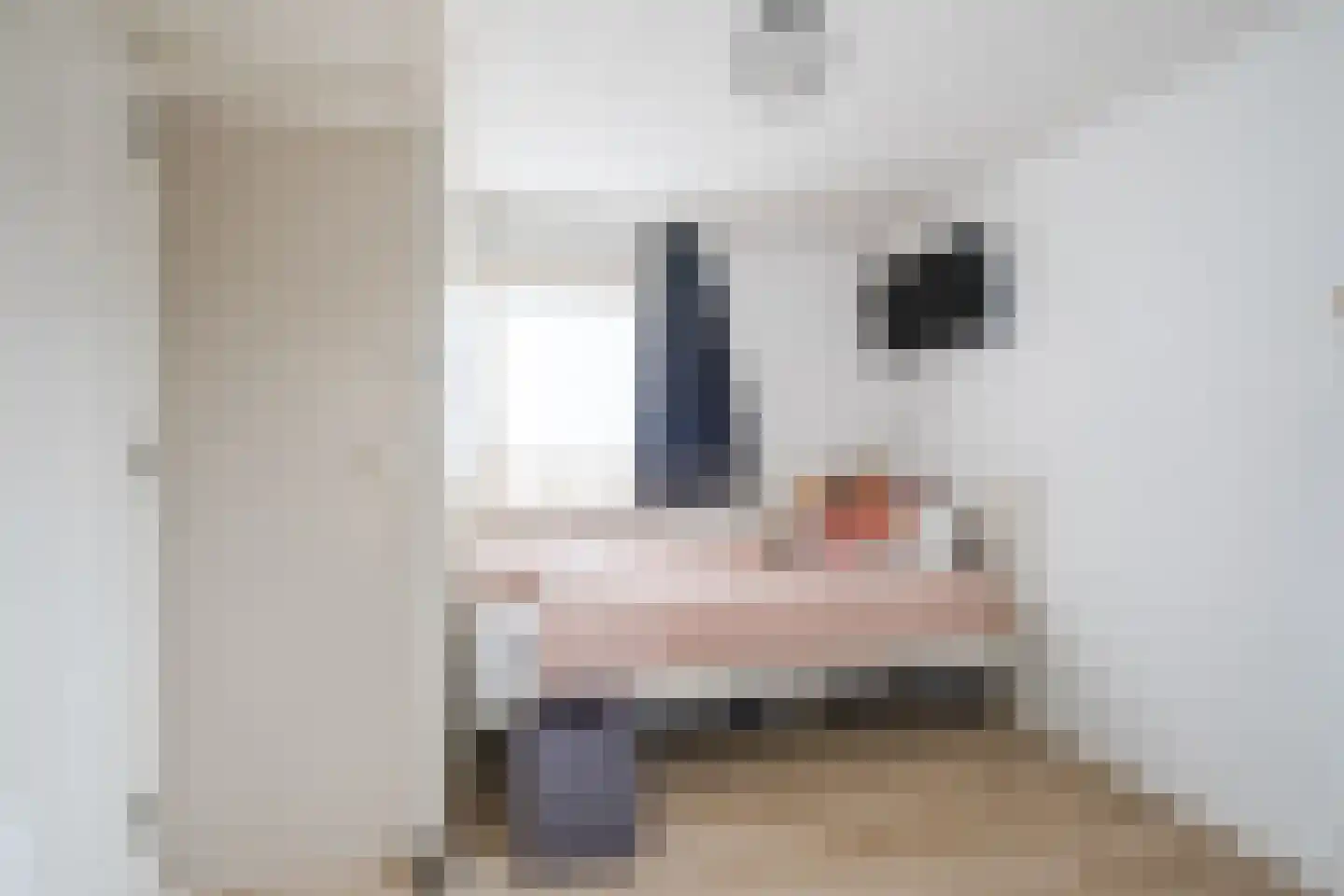 Postakkers 72 Eersel thumbnail 28