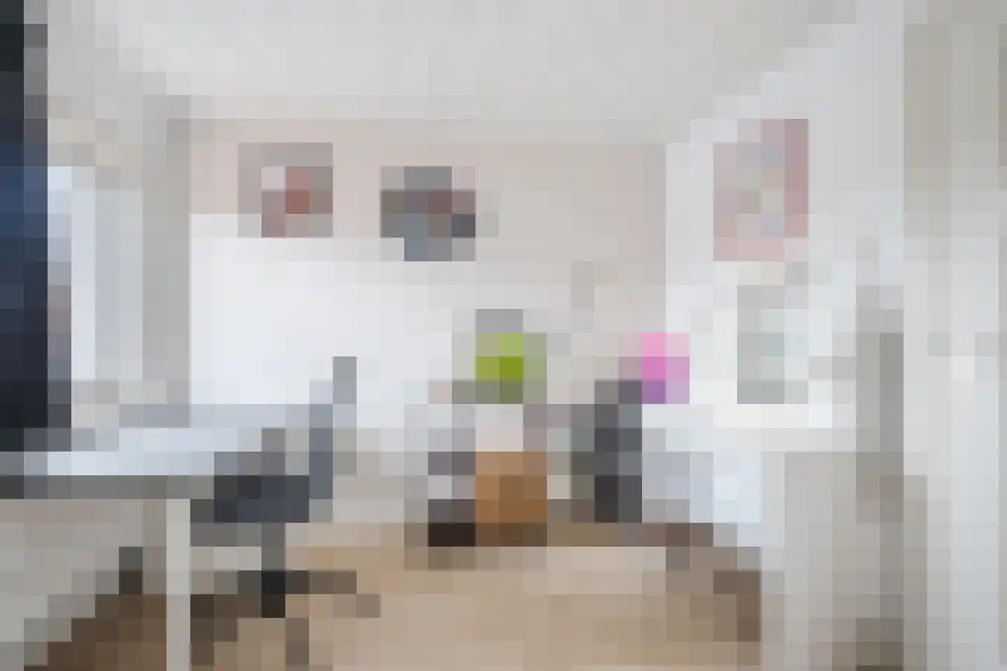 Postakkers 72 Eersel thumbnail 29