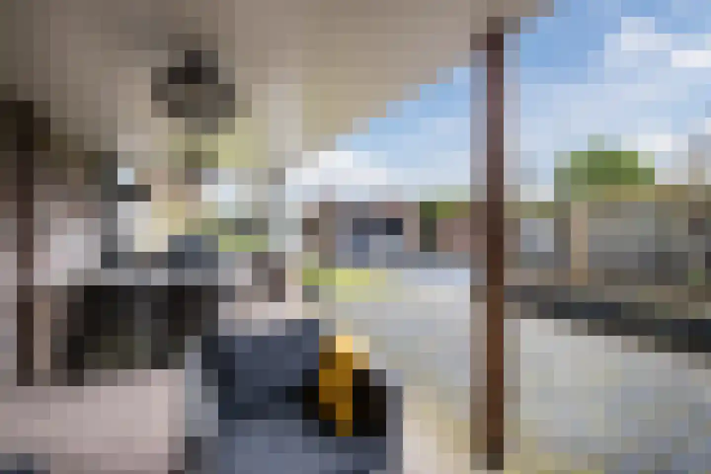 Postakkers 72 Eersel thumbnail 41