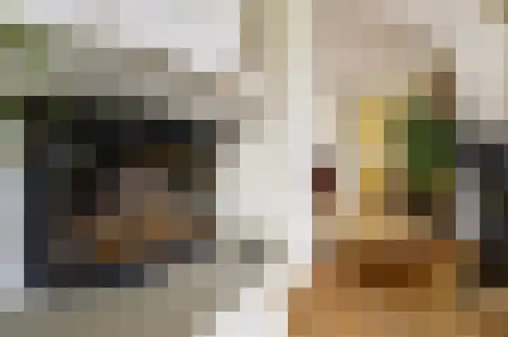 Postbaan 15 Wanssum thumbnail 13