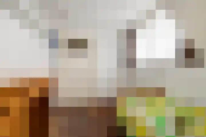 Postbaan 15 Wanssum thumbnail 23