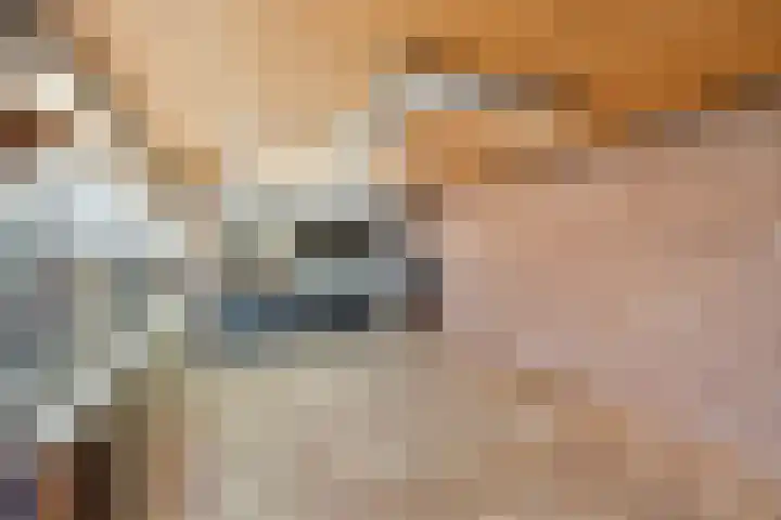 Postbaan 16 Wanssum thumbnail 10