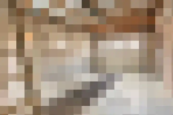 Postbaan 16 Wanssum thumbnail 12