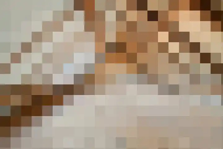 Postbaan 16 Wanssum thumbnail 13