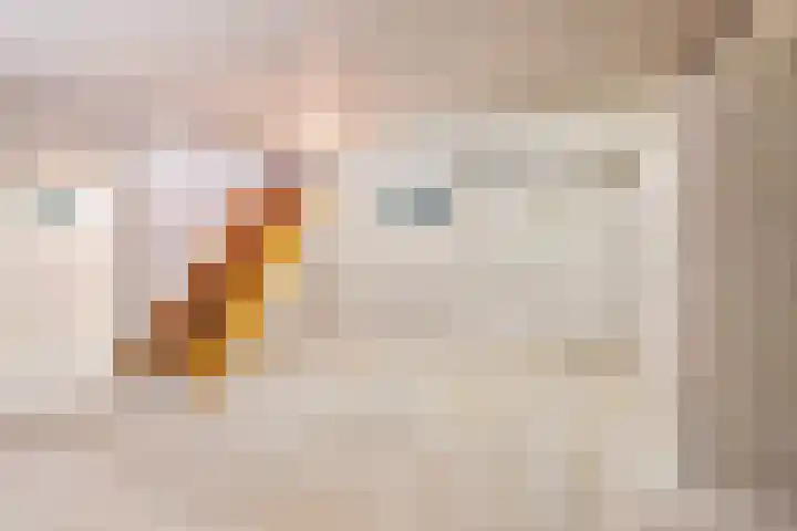 Postbaan 16 Wanssum thumbnail 16