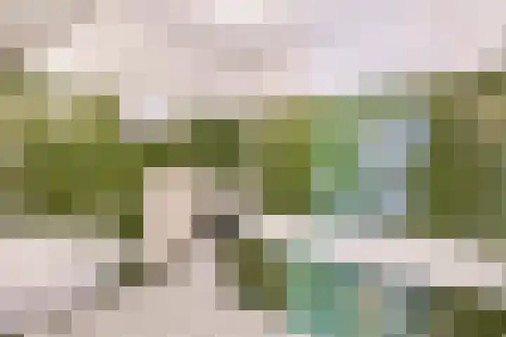 Postbaan 16 Wanssum thumbnail 22
