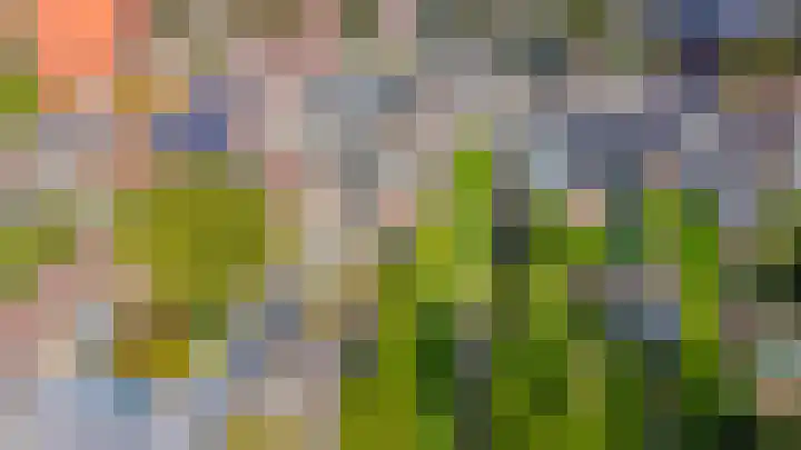 Postbaan 16 Wanssum thumbnail 39