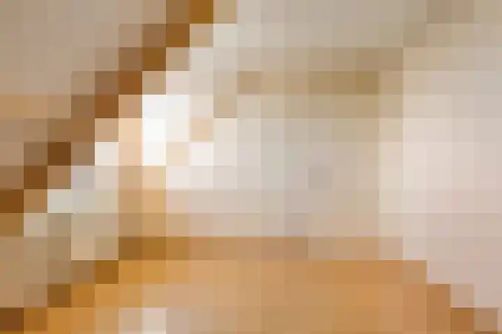Postbaan 18 Haelen thumbnail 26