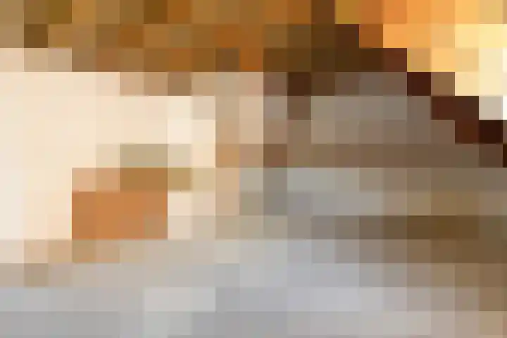 Postbaan 18 Haelen thumbnail 35