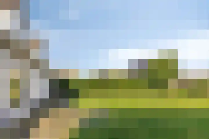 Postbaan 18 Haelen thumbnail 38