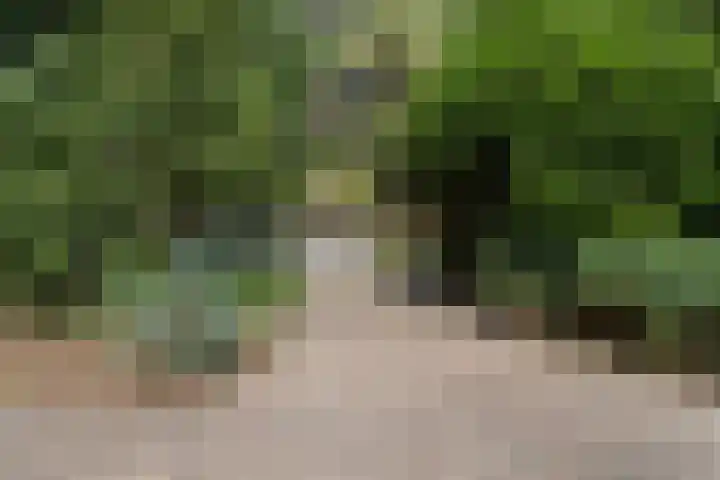 Postbaan 25 Rucphen thumbnail 100