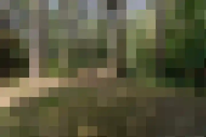 Postbaan 25 Rucphen thumbnail 101