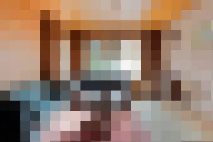 Postbaan 25 Rucphen thumbnail 102
