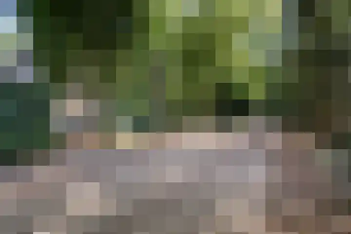 Postbaan 25 Rucphen thumbnail 105