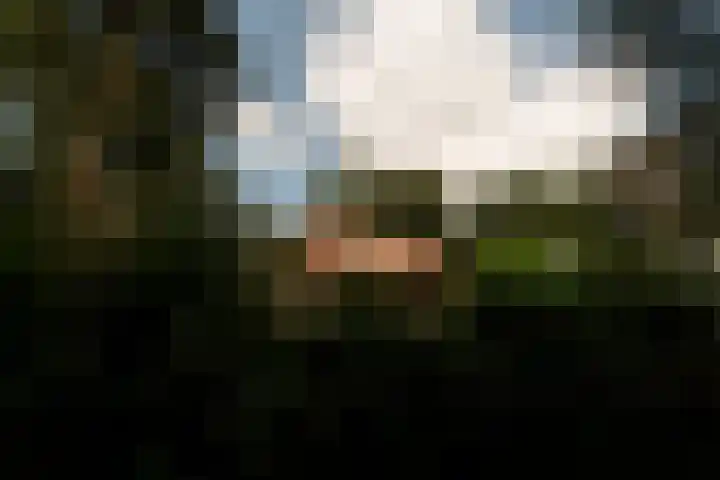 Postbaan 25 Rucphen thumbnail 107
