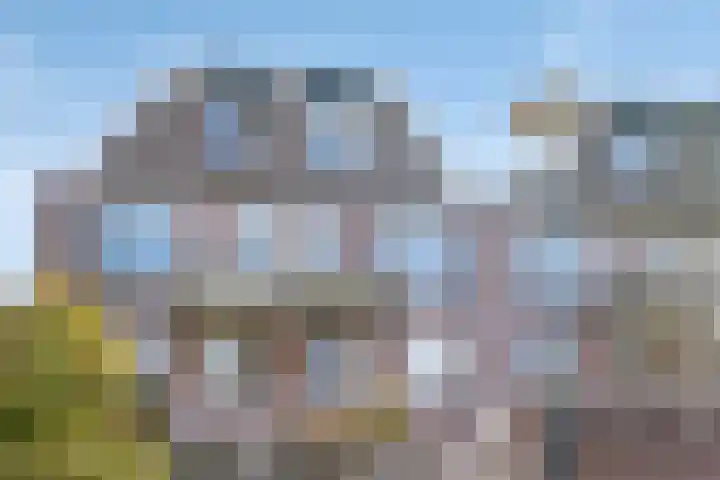 Postbaan 25 Rucphen thumbnail 11