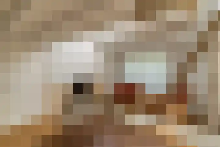 Postbaan 25 Rucphen thumbnail 22