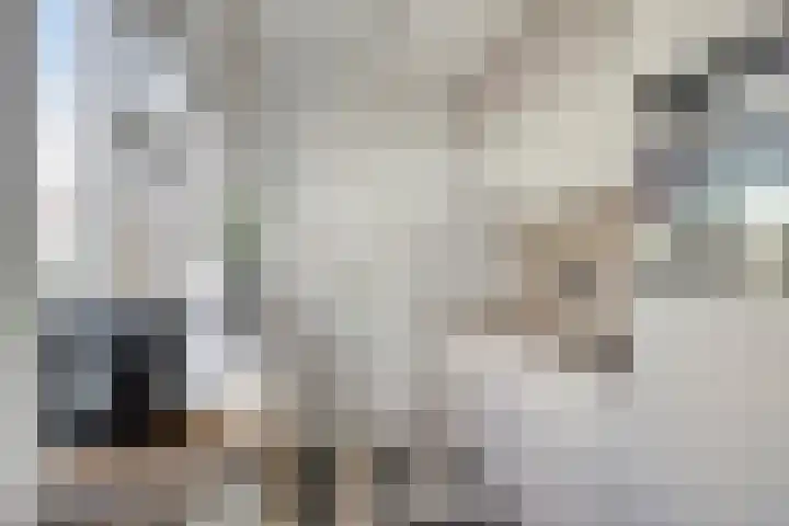 Postbaan 25 Rucphen thumbnail 25