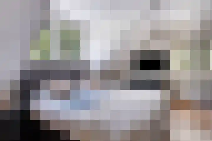 Postbaan 25 Rucphen thumbnail 25