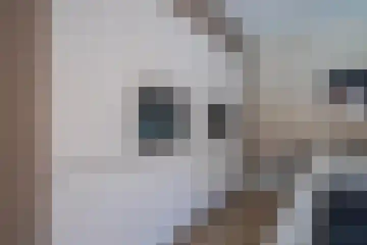 Postbaan 25 Rucphen thumbnail 26