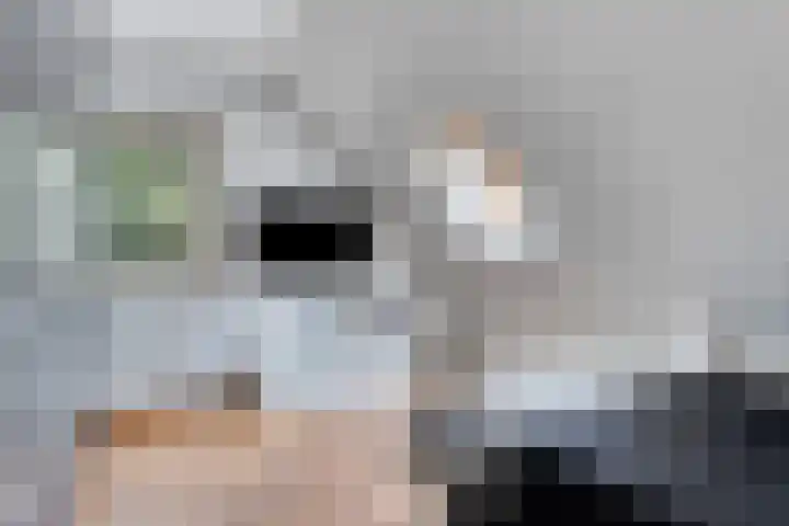 Postbaan 25 Rucphen thumbnail 29