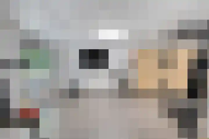 Postbaan 25 Rucphen thumbnail 34