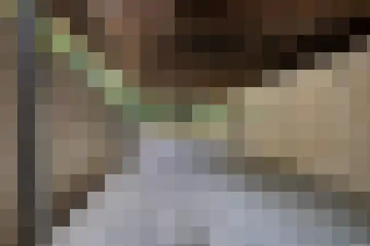 Postbaan 25 Rucphen thumbnail 37
