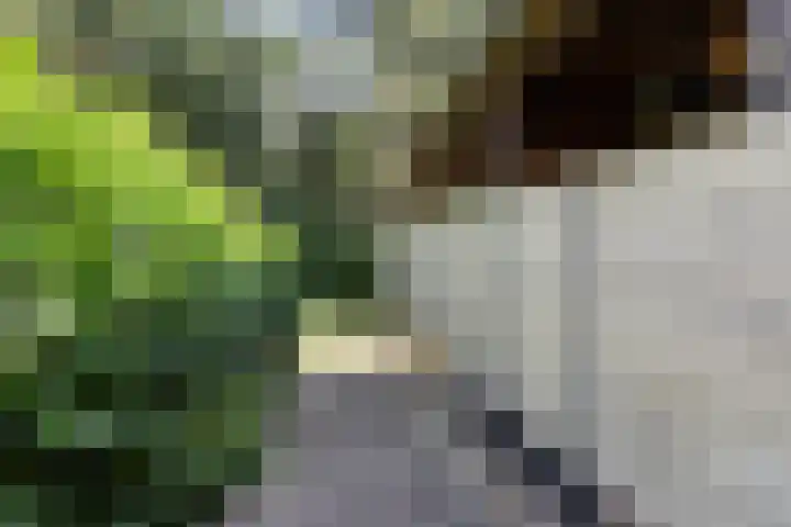 Postbaan 25 Rucphen thumbnail 39