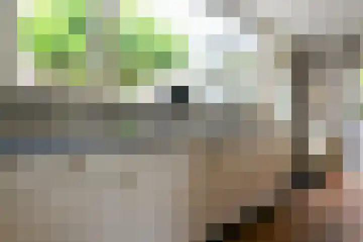 Postbaan 25 Rucphen thumbnail 44
