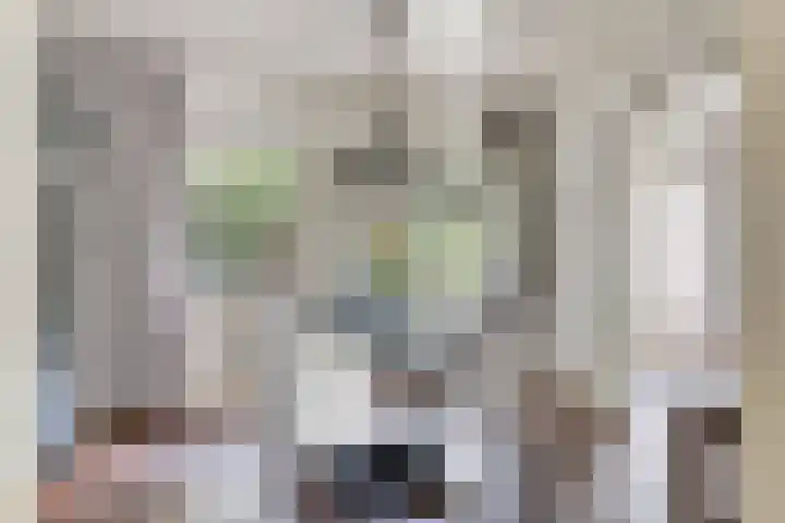 Postbaan 25 Rucphen thumbnail 51