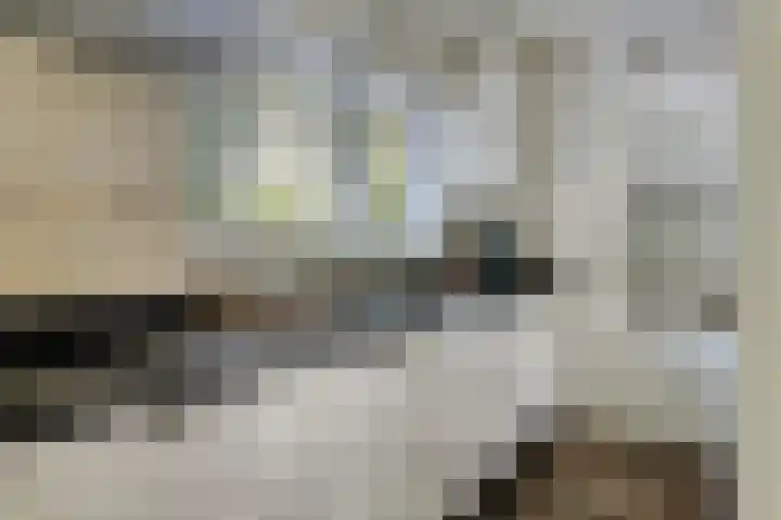 Postbaan 25 Rucphen thumbnail 52