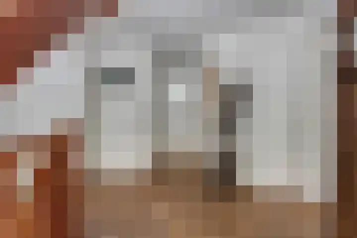 Postbaan 25 Rucphen thumbnail 6