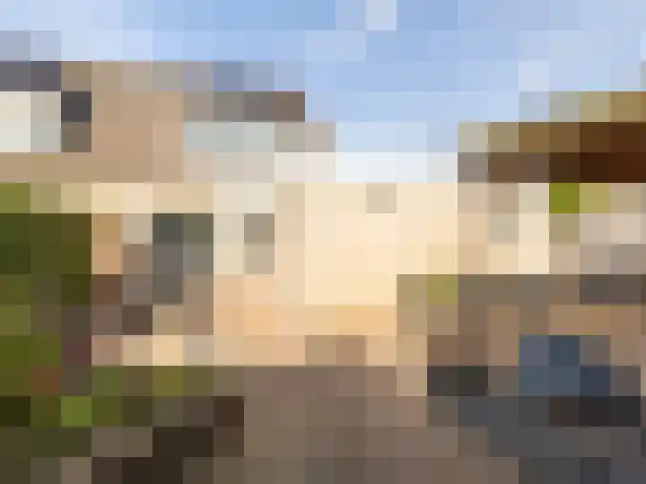 Postbaan 25 Rucphen thumbnail 70