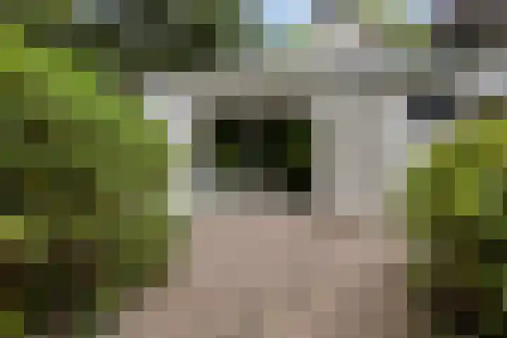 Postbaan 25 Rucphen thumbnail 72